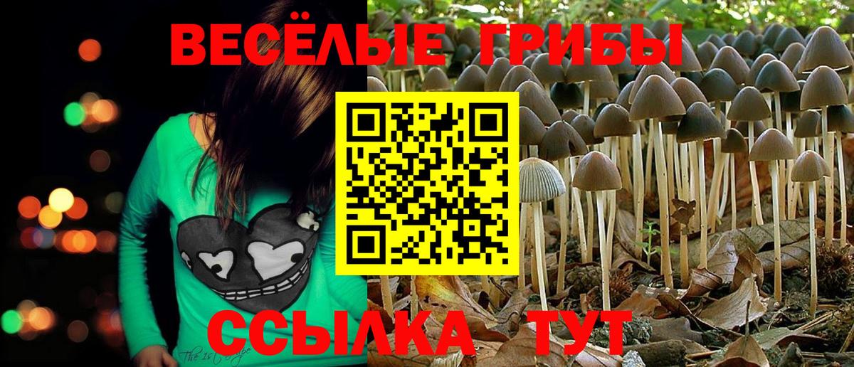 Сокол  купить  сайты  Вход с VPN  Галлюциногенные грибы ЛСД  Псилоцибиновые грибы Psilocybine cubensis 